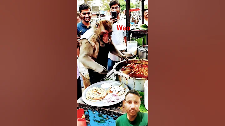 unique dish😱 chicken curry with roti 🫓 smart chef monkey 🐒 #shorts #food #monkey#funny #trending