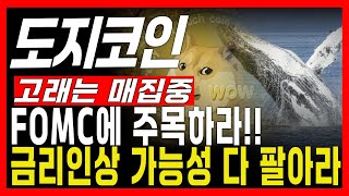 [도지코인 전망] 고래는 매집중 FOMC에 주목하라 금리인상 가능성? 가지고 있는 코인 다 팔아라!