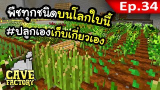 ปลูกพืชทุกชนิดภายในโลกใบนี้~! #34 | Cave Factory