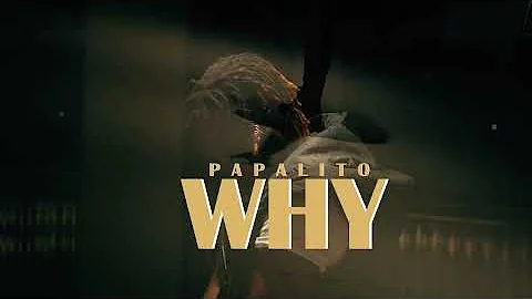 Papalito - WHY (Official Visualizer)