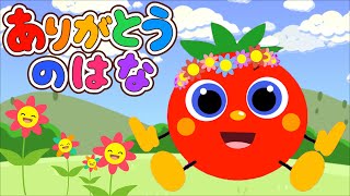 やっちゃんです。ありがとうございます！ I'm getting used to itor maybe not [Stray cat] - YouTube