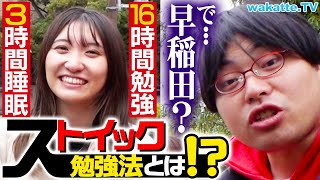 【ハンパない】これで早稲田合格！ストイックすぎる受験勉強法を調査！【wakatte TV】#1052