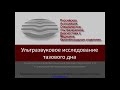 УЗИ тазового дна. Опущение и выпадение тазовых органов.