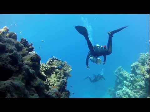 Side Mount Scuba Diving: Underwater Wonders of the...
