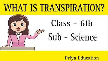 Getting to Know Plants - What is transpiration ? Class 6 Science NCERT Science Class 6 Chapter 4