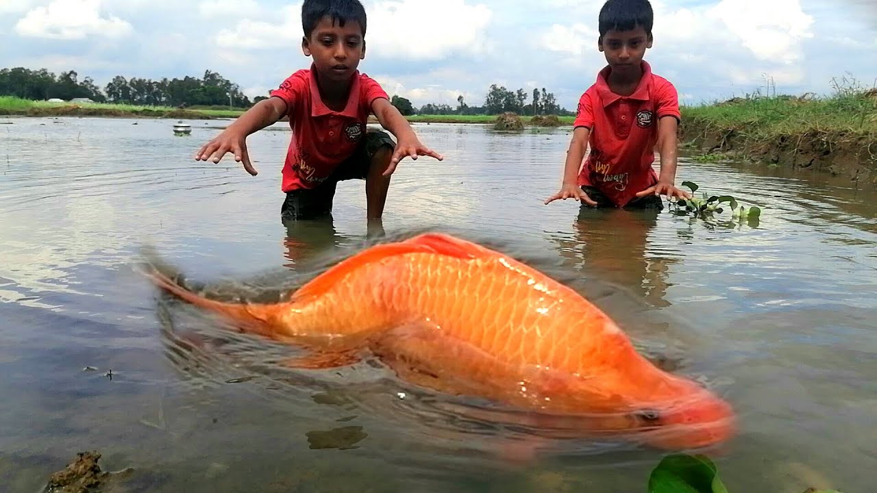 Best Hand Fishing ! Amazing Twins Boy Catching Big Fish By Hand in ...