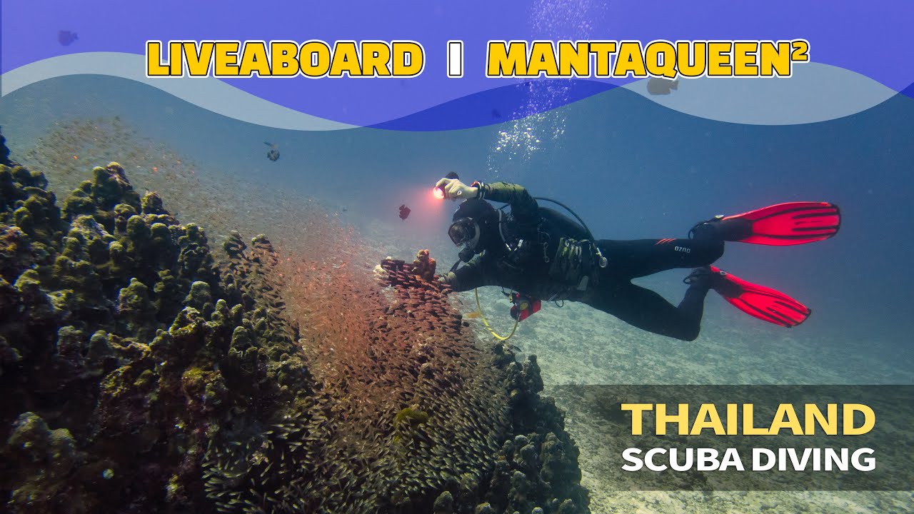 🌊 Manta Queen 2 Similan Liveaboard | Day 2 - First Diving in Thailand! 🌊만타퀸2 시밀란 리브어보드, 생애 첫 태국 다이빙