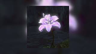 Parano feat - frozy [ slowed + reverb ]
