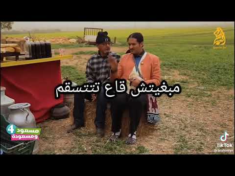 شعبون وجغلول 