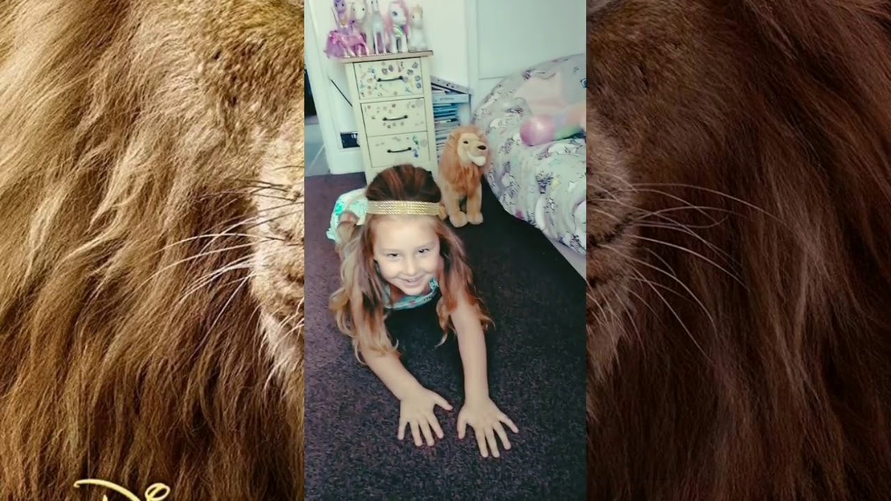 LION KING!! NEW VIDEO!! DANCING!! SIMBA!! - YouTube