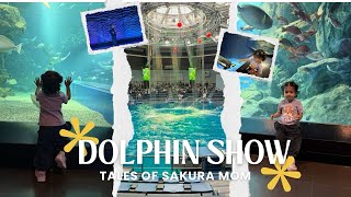 Aqua Park   Dolphin Show   Penguin   Sea Lion   Aquarium   Shinagawa 