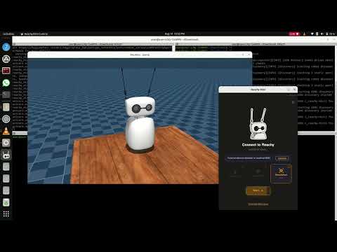 𝗥𝗲𝗮𝗰𝗵𝘆 𝗠𝗶𝗻𝗶 MuJoCo Sim Control App + Python SDK