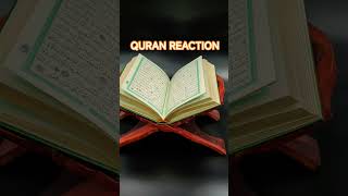 Quran Reaction