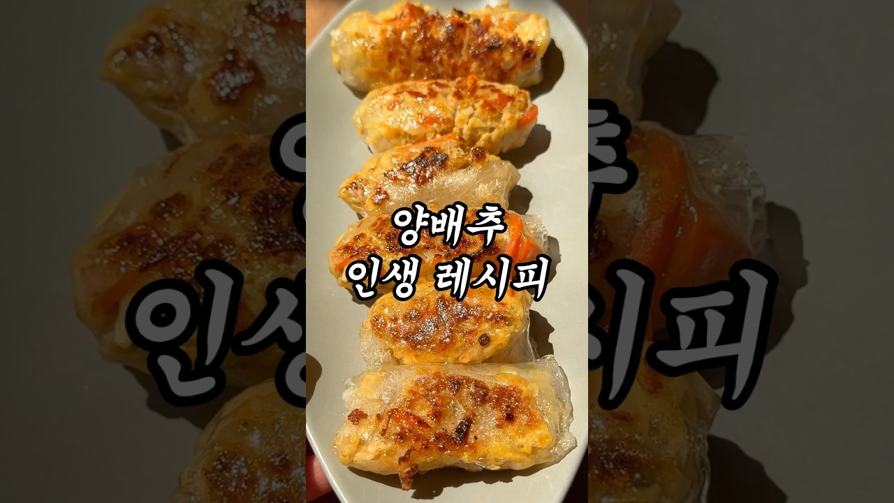 양배추 라이스페이퍼 말이