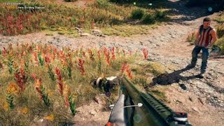 Far Cry® - Skunk punt