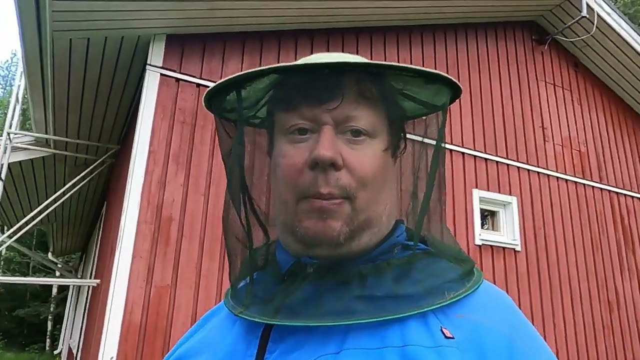 Pärinäprojektit ja perunamaan status