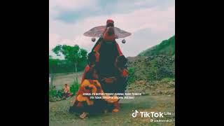 Story Wa Barongan