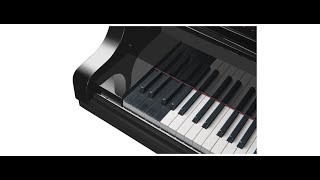 Yamaha Montage 8 Demo Piano Library Bosendorfer Imperial & Yamaha C7