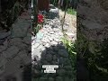 So deliver diay kog Atome Credit card #shorts #reels #viral #delivery