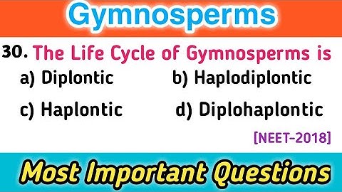 MCQs on Gymnosperms - Plant Kingdom mcqs - Frequently Asked