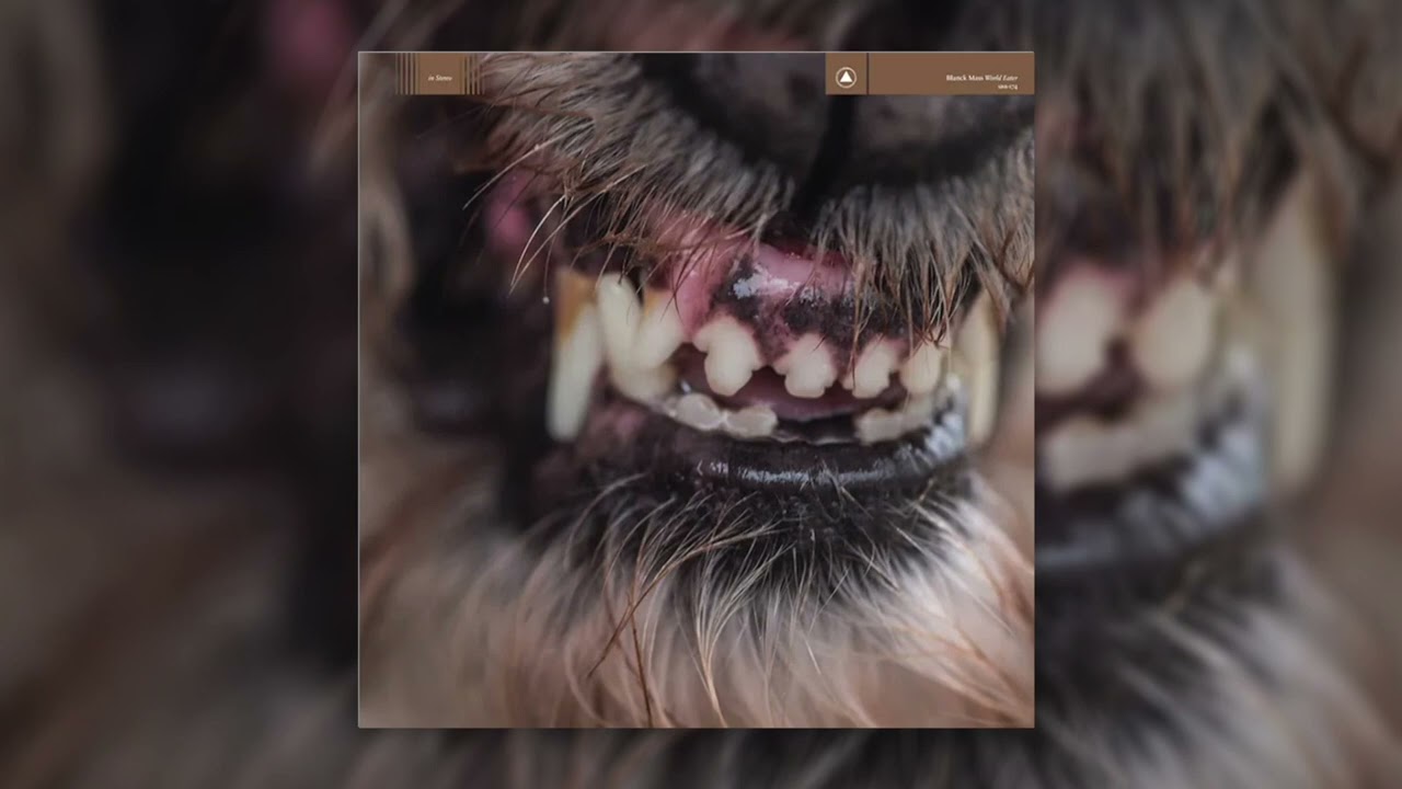 Watch Blanck Mass - Hive Mind on YouTube Watch Blanck Mass - Hive Mind on YouTube