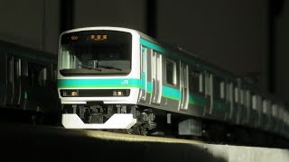 【16番】陽の光を浴びて。E231レイアウト走行シーン