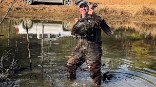 Trapping beaver and cooked it for my wife. Catch and cook