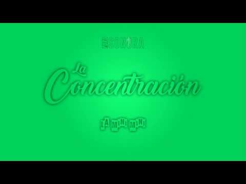LA CONCENTRACIÓN -