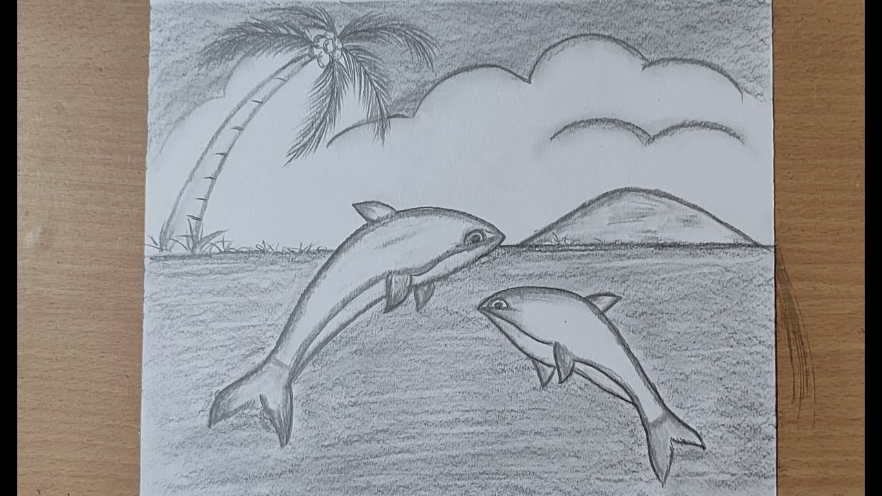 7500 Dolphin Drawing Stock Photos Pictures  RoyaltyFree Images   iStock  Dolphin illustration