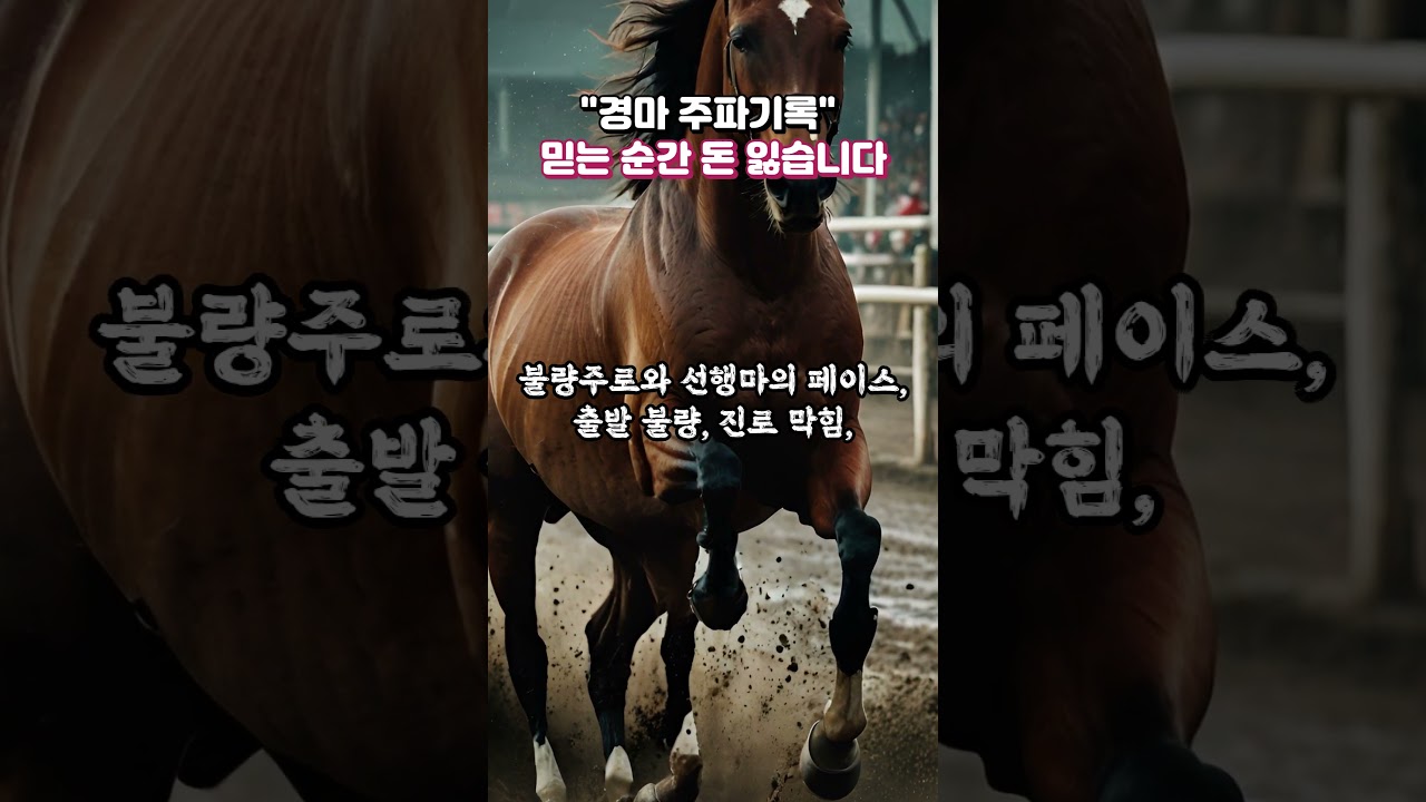 경마 주파기록 믿는 순간! "돈 다 잃습니다"