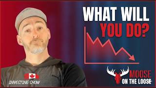 The market is down, what's your next move?