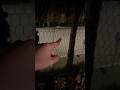 SPAVENTO la BAMBOLA DI SQUID GAME E LEI SCAPPA VIA!! #giox97 #shorts #squidgame #paura #horror
