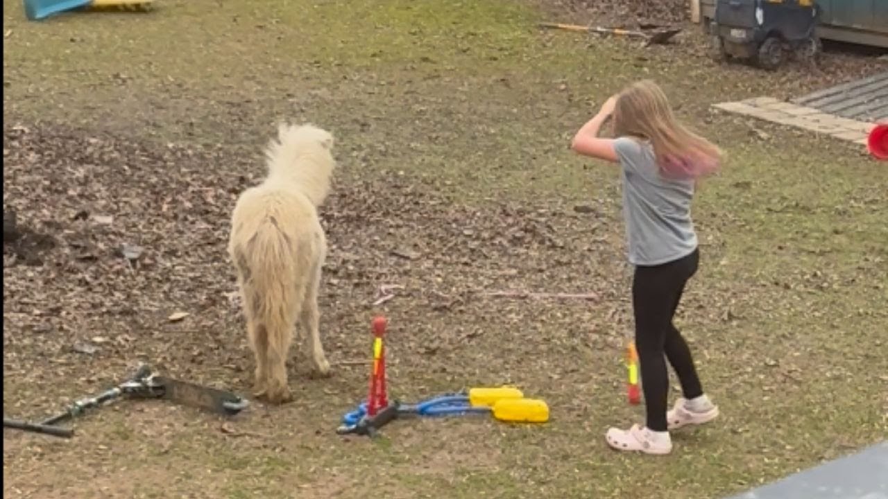 Kids Backyard Fun: Pony Joins Rocket Launcher Adventure! || WooGlobe
