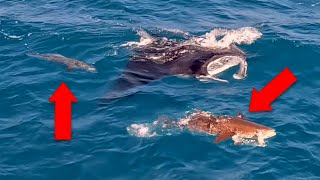 These Lucky Fishermen Hit The Jackpot