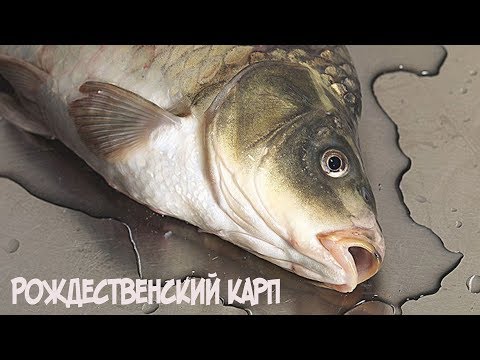 Video: How To Cook Czech Carp