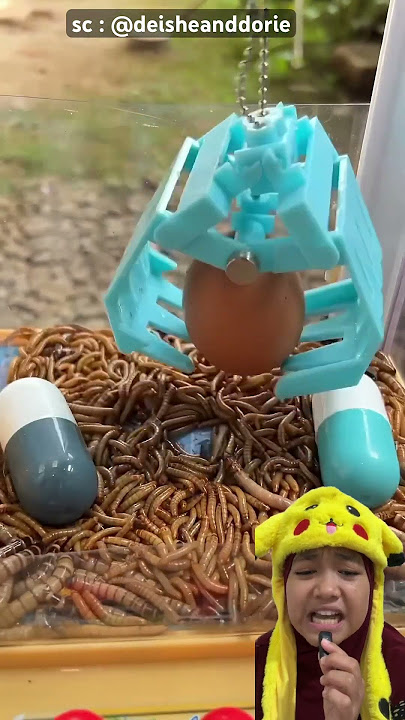oh no why did you get round eggs #short
