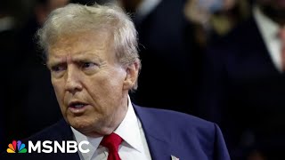 Michael Steele: GOP’s failed effort on spending is case of 'the blind being led by the stupid'