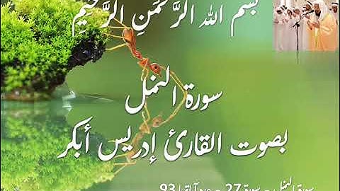 سورة النمل Idris Abkar _ Surah Al Naml