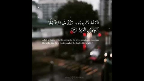 #تلاوات #ماهر_المعيقلي #ياسر_الدوسري #ناصر_القطامي #السديس #خالد_الغامدي(19)