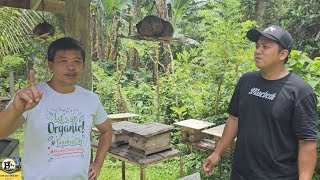 Magandang Negosyo ito...Balik sa Pag aaral tayo Sabay sabay tayong Matuto mag Alaga ng stingless bee