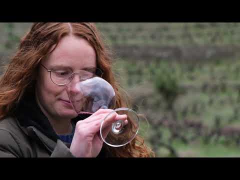 Els Noms de la Terra - Vinícola del Priorat