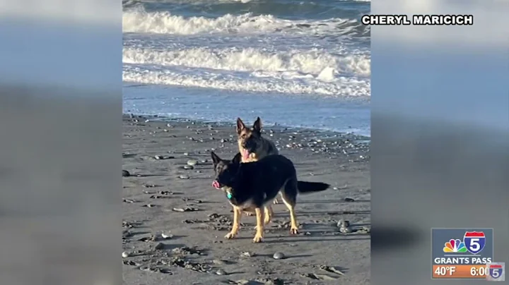 Snaps on Sunrise 2/18/2025