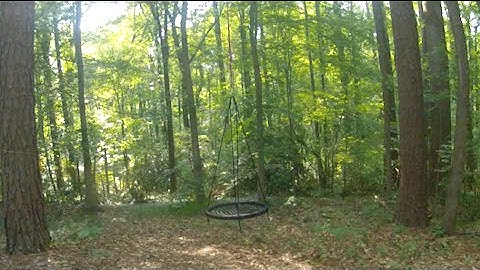 55 foot high Y swing - Piedmont Tree Climbing