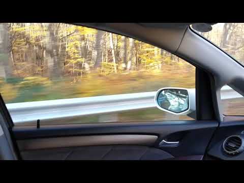 tskhvarichamia ცხვარიჭამია