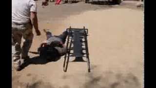 Famous Deploying the Travois Profile