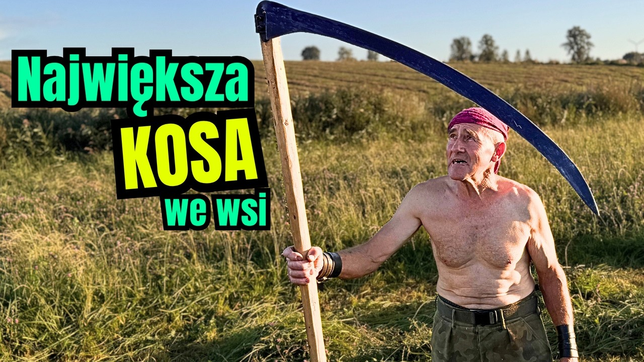 Koszę trawę dla BYKÓW. Stara KOSA jest niezastąpiona. Takiej dziś już NIE KUPISZ!
