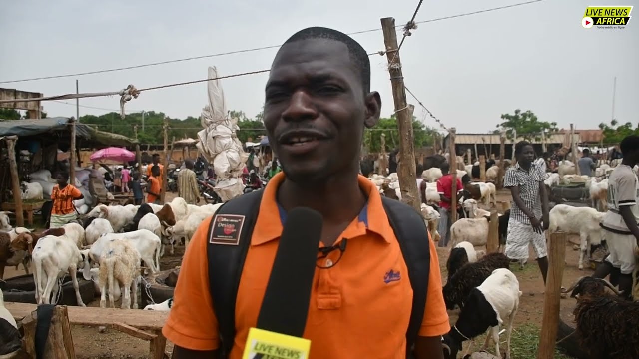Tabaski 2024 : Moutons de 60.000 à 400.000 FCFA au Marché de Tanghin