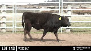 LOT 143 W292 AI