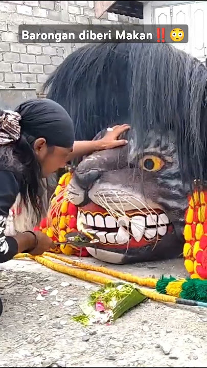 Barongan diberi Makan ‼️😳 #shorts #barongan #barong #jaranan #pecut #jathilan #leak #ritual