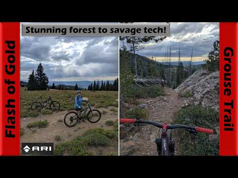 Flash of Gold to the gnarly Grouse Trail! | Mountain Biking Steamboat Springs, Colorado